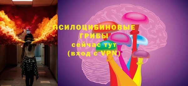 ешки Алексин