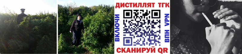 Дистиллят ТГК гашишное масло  блэк спрут ССЫЛКА  Игарка 