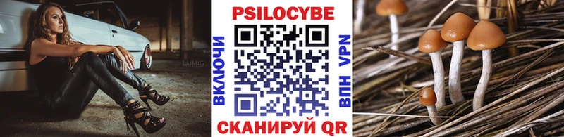 продажа наркотиков  блэк спрут ТОР  Псилоцибиновые грибы Psilocybine cubensis  Игарка 